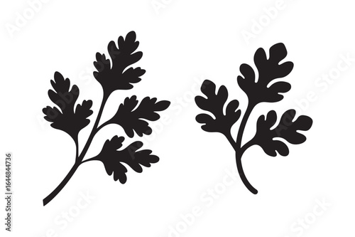 Set of Parsley Herb Leaves Silhouette - Aromatic Culinary Vector