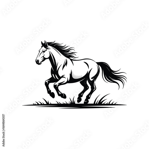 Majestic black horse galloping through grassy field running white