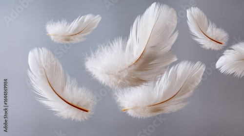 Flock of white feathers floating in the air. The feathers are scattered in various directions, creating a sense of movement and freedom. The scene evokes a feeling of lightness and tranquility