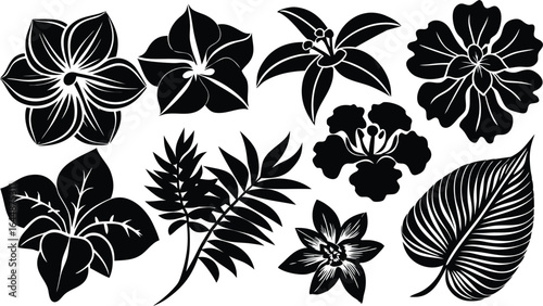 Pack of exotic flower silhouettes inspired by orchids