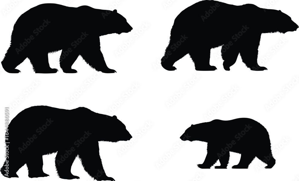 Fototapeta premium Bear Silhouettes, Wildlife, Mammals