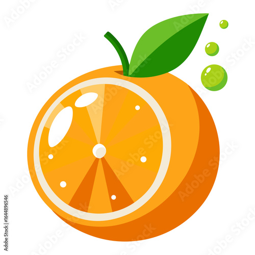 orange fruit vector illustration