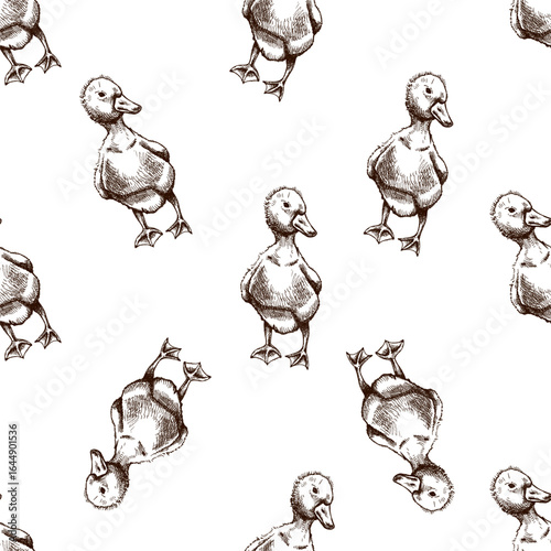 Hand drawn vintage seamless pattern of cute little gosling, duckling in farmyard scene, colorful engraved vector illustration