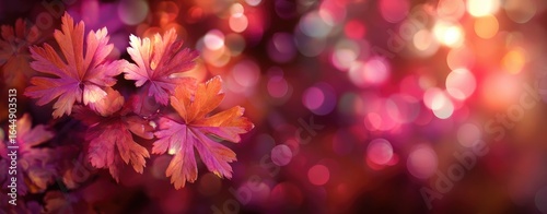 Autumn leaves in vibrant colors, bokeh background