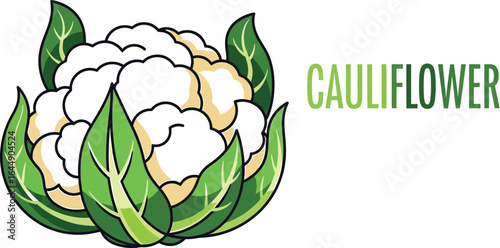 Illustration of a fresh cauliflower with green leaves, a healthy and nutritious vegetable, perfect for vegetarian diets and organic food lovers