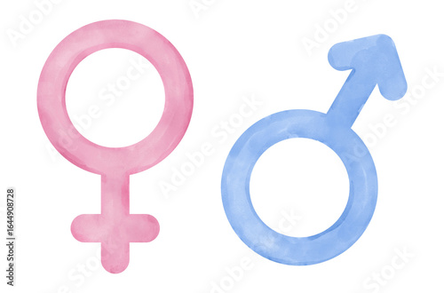 Male And Female Symbols. Pink And Blue Watercolor-like Gender Signs. Clean, Minimalist Illustration Of Traditional Gender Icons On A White Background Ideal For Educational Materials, Design Projects.
