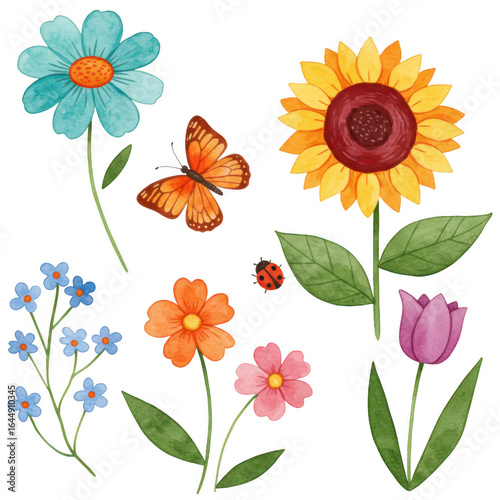 Beautiful floral elements isolated on transparent background