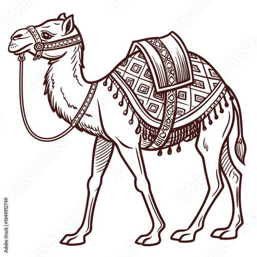 Detailed line drawing of a single humped camel with decorative saddle and bridle dromedary animal 1