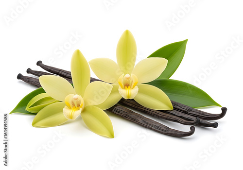 Vanilla flower and beans isolated on white background, showcasing its aromatic and flavorful qualities for culinary use