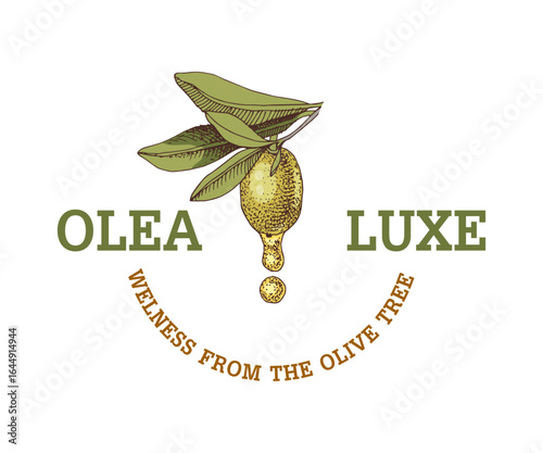 Olea luxe vector logo template
