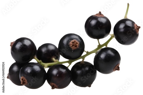 black currant isolated on white background
