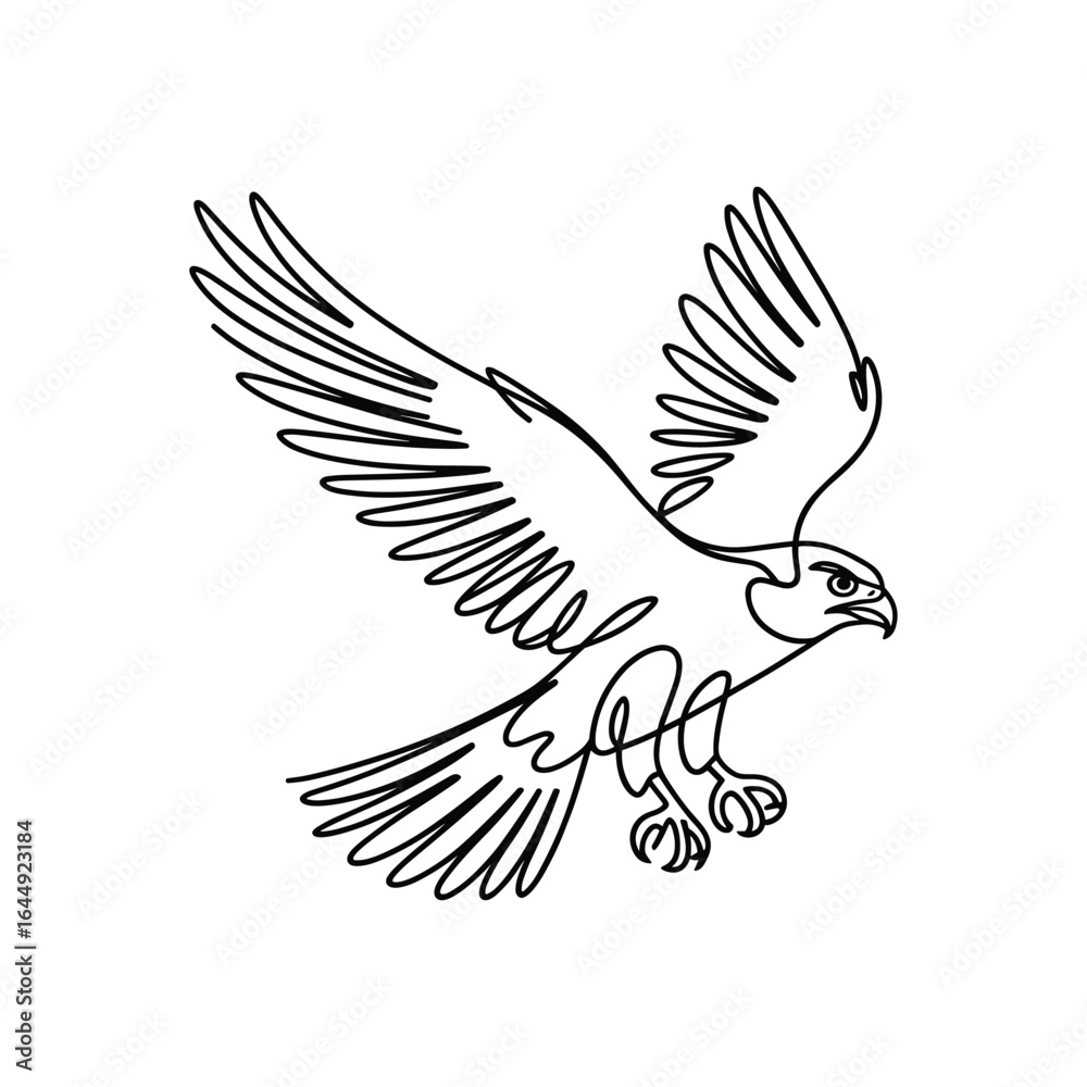 Obraz premium Majestic eagle in flight with outstretched wings bird raptor