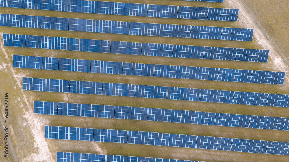 Fototapeta premium Environmental solar farm with green grass