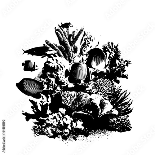 Black and white coral reef with tropical fish ocean life underwater sea marine ecosystem aquatic illustration vector