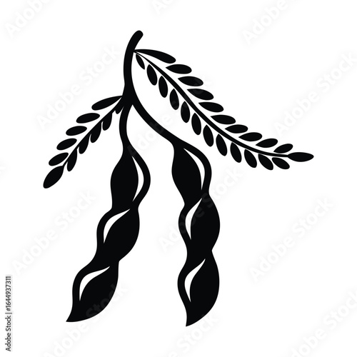 Minimalist Black and White Bean Pods Vector Illustration Design