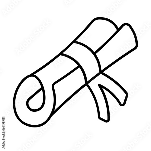 graduation certificate icon with thin style