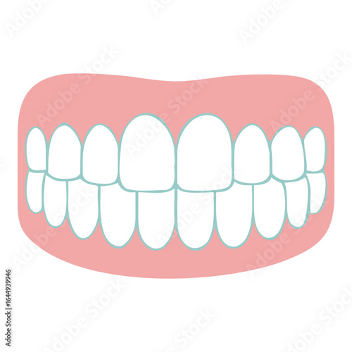 Healthy teeth smile denture dental illustration vector graphic