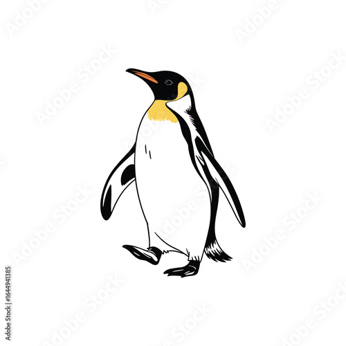 Black and white penguin with yellow neck and orange beak walking animal bird