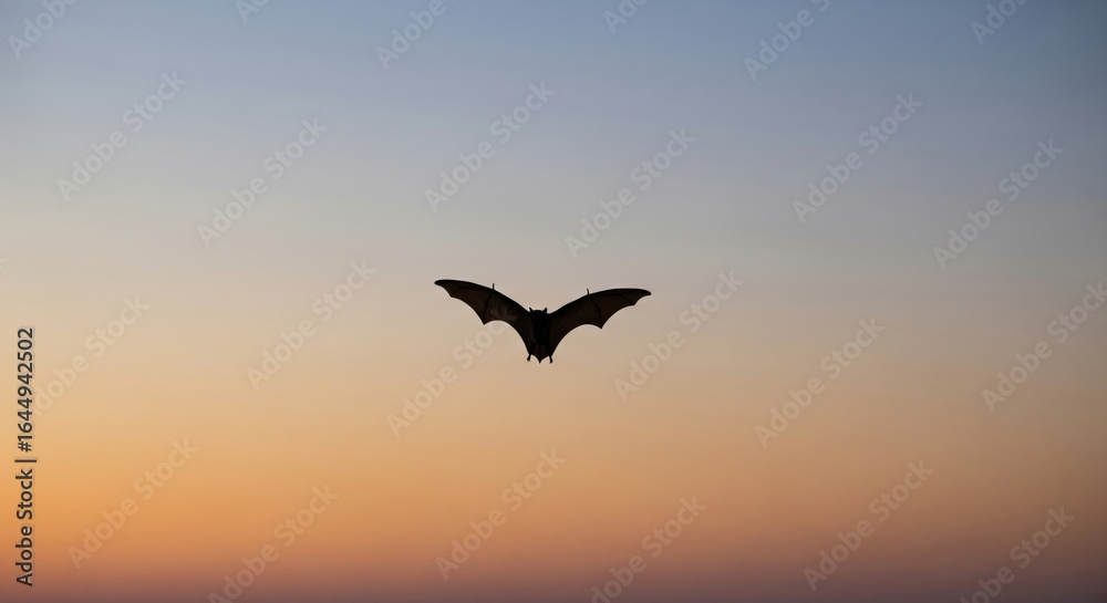 Fototapeta premium Bat Silhouette Against Twilight Sky
