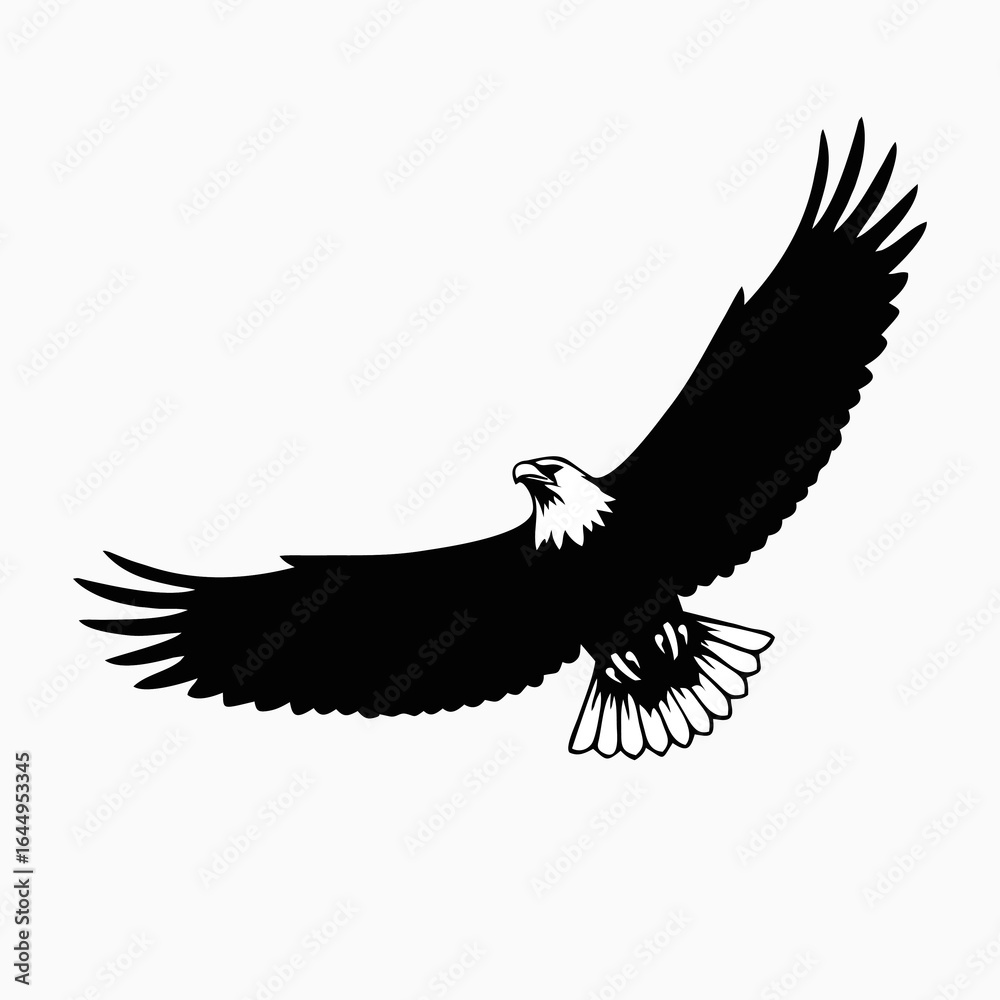 Obraz premium Soaring Eagle Silhouette in Black Vector Style