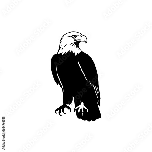 Majestic Eagle Perched, Symbol of Freedom and Power