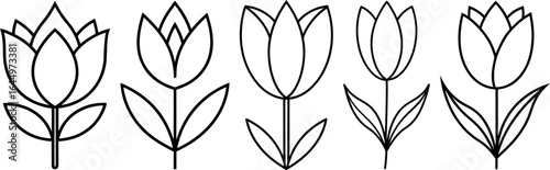 Tulip Flower Outline Icons Set