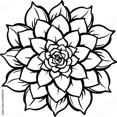 Stylized black and white outline of a succulent plant with layered petals forming a mandala pattern
