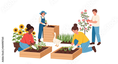 Community garden planting vegetables sunflowers and rose bushes