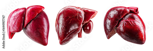 High-Resolution Healthy Human Liver Images for Medical Education Use