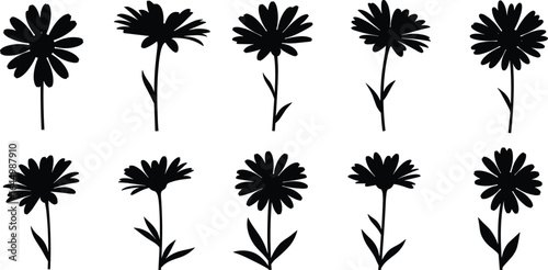 Black silhouette daisy flower set, spring floral vector design elements, minimalist botanical illustrations, decorative nature bloom clipart for digital and print projects