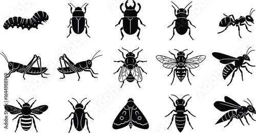 Insect silhouettes collection, beetles, ants, bees, flies, grasshoppers, caterpillars, wasps, black vector, entomology design, nature, biology, science, graphic