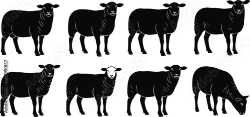 Silhouette sheep illustration, black vector, farm animals, livestock poses, grazing, standing, wool texture, Adobe Stock, rural, agriculture, graphic
