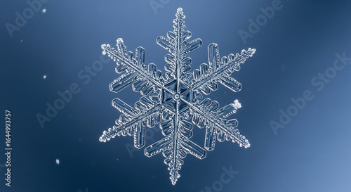 Detailed snowflake crystal formation on blue background