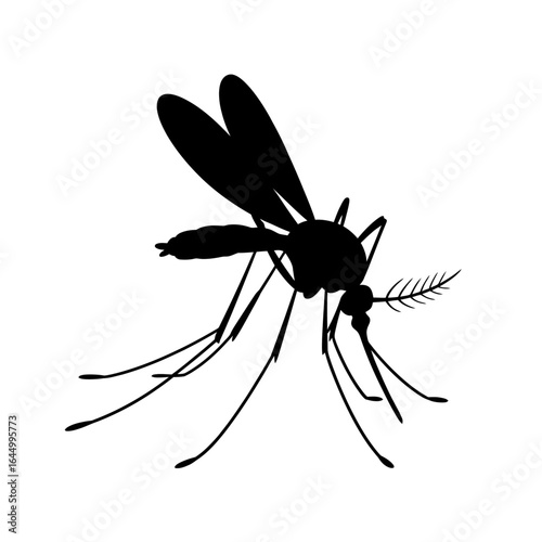 Silhouette of mosquito vector on white background for pest control and insect prevention designs