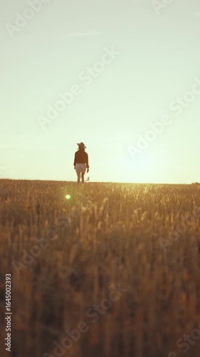 Walk in countryside, slender woman strolling alone in the fields in harvest season, vertical shot, back view. Happiness and contemplation, admiring beauty of nature and lady, stay calm and meditate