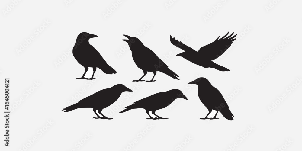 Obraz premium Print Vector, isolated black silhouette bird, crow collection