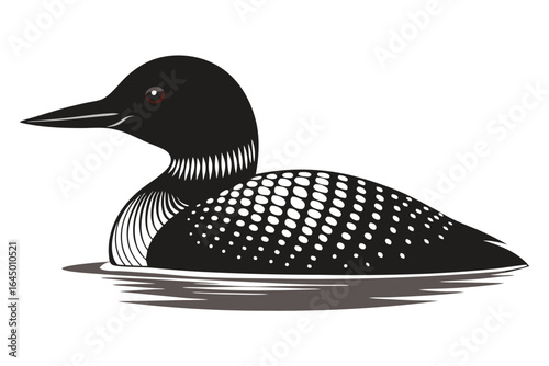of a loon with white spots is gracefully gliding over the calm water