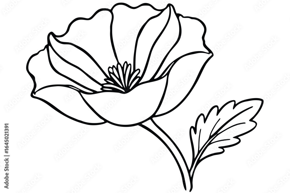 Obraz premium Simple line art shows a blooming poppy flower and single leaf on white
