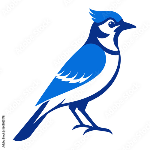 Blue Jay Bird Illustration