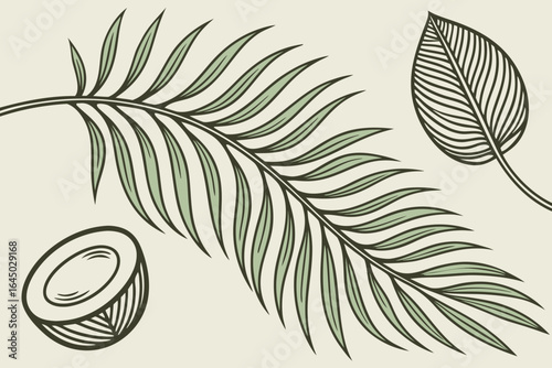 Chic tropical botanical illustration featuring a delicate palm frond, a single detailed leaf, and a halved coconut, perfect for summer vibes and natural decor.