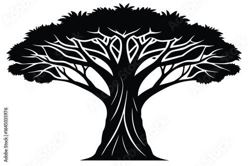 Silhouette illustration shows a solitary tree with a broad trunk and dense foliage