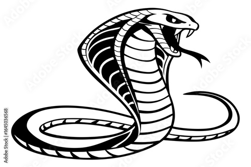 Venomous cobra snake with hood isolated on white background