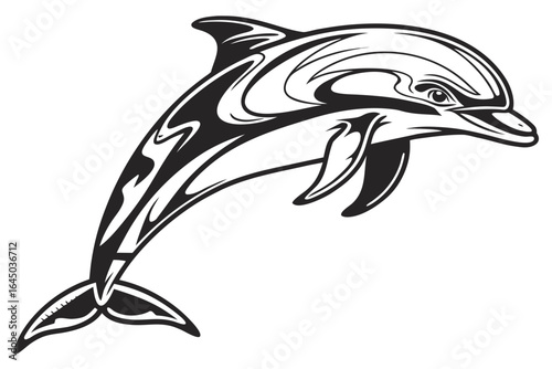 Striking dolphin vector illustration isolated on white background