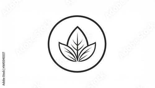 Simple leaves illustration in circle