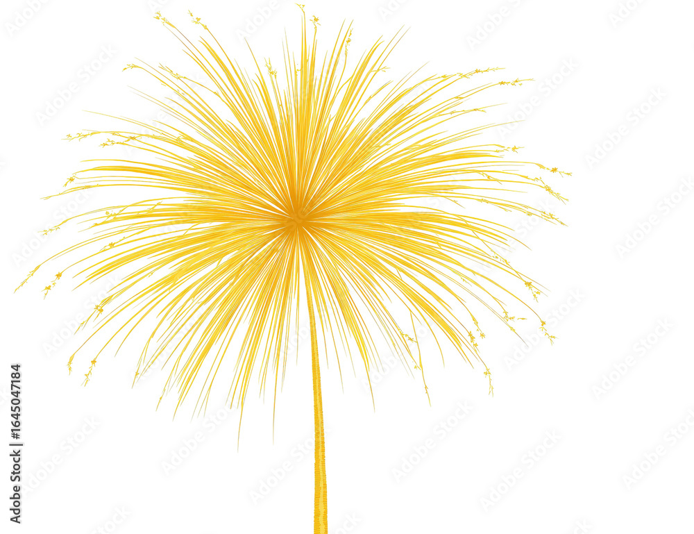 Fototapeta premium Golden radiating firework burst