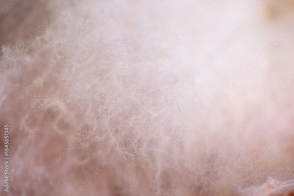 Fototapeta premium Macro texture of mycelium growth on apple fruit