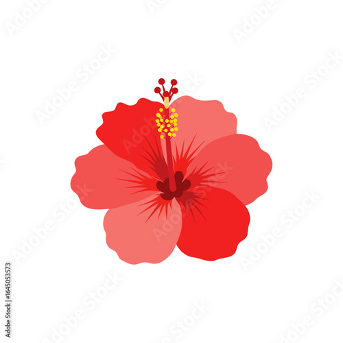 Vivid illustration of a bright red hibiscus flower, showcasing delicate petals and stamen.