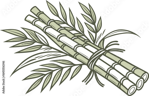 Fresh Sugarcane Plant Illustration. Green Sugarcane Stalk Agriculture Art. Realistic Sugarcane Crop Farming Design. Tropical Sugarcane Harvest Illustration. Sugarcane Plant Botanical Agriculture Art