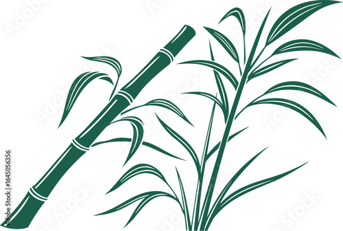 Fresh Sugarcane Plant Illustration. Green Sugarcane Stalk Agriculture Art. Realistic Sugarcane Crop Farming Design. Tropical Sugarcane Harvest Illustration. Sugarcane Plant Botanical Agriculture Art