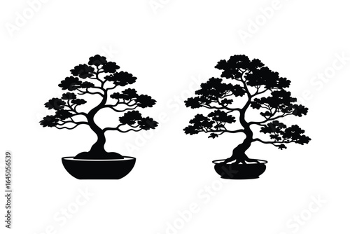 Two Bonsai Trees in Pots Isolated on White Background Presented in a Silhouette Style silhouette